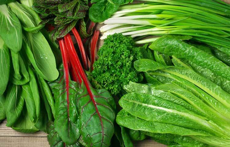 গ্রিন ভেজিটেবলস : সবুজ পাতা যুক্ত সবজি, যেমন পালং শাক, কালে, ব্রকোলিতে প্রচুর পরিমাণে আয়রন ও ক্যালসিয়াম থাকে যা নখ বৃদ্ধিতে সাহায্য করে।