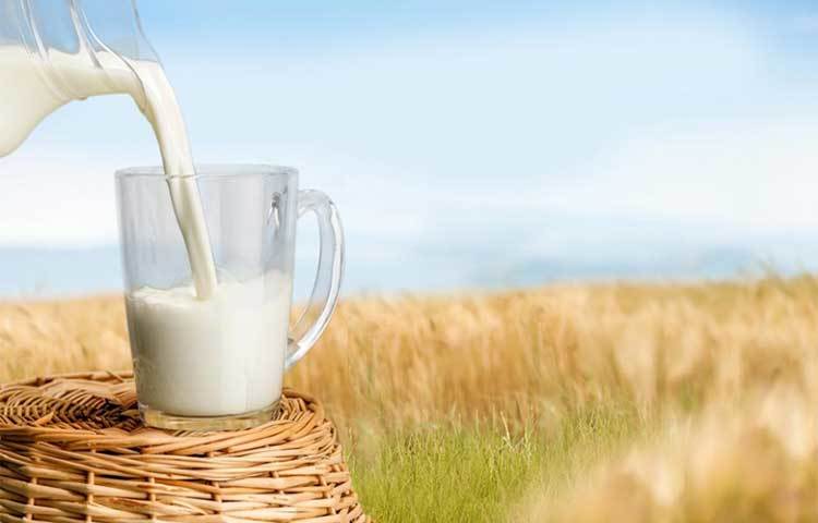 দুধ : দুধে ক্যালসিয়াম ও ভিটামিন ডি রয়েছে। এবং এই দুইয়ে মিলে নখ শক্ত রাখে।