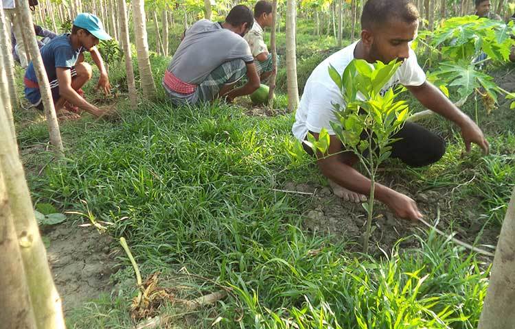 পিরোজপুর সদর উপজেলার কদমতলা ইউনিয়নের পোরগোলা গ্রামের অবস্থান। ওই গ্রামের বাসিন্দা ভূমিহীন কৃষক নাছির হাওলাদার ওরফে হোসেন। ছবি : হাসান মামুন