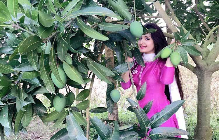 আম বাগানে পরীর দেখা! আম বাগানে আম নিয়ে ছবি তুলেছেন পরীমনি।