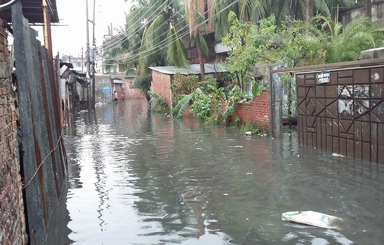 থই থই পানি মনে হচ্ছে নদীতে জোয়ার এসেছে। ছবি : আবু সালেহ সায়াদাত
