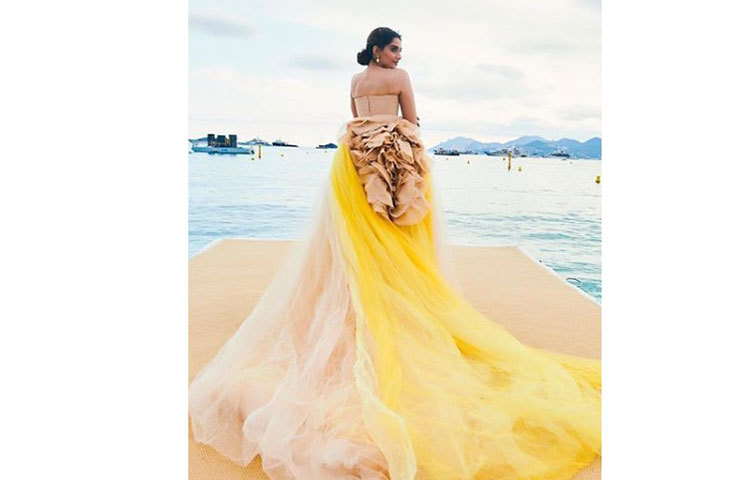 সুন্দরী সোনাম সবার দৃষ্টি কেড়েছেন।