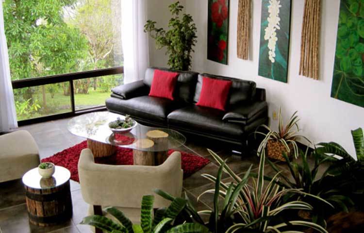 ঘরের মধ্যে ছোট বা বড় টবে গাছ রাখুন। দেখবেন এর ফলে ঘর বেশ খানিকটা ঠান্ডা অনুভব করবেন।