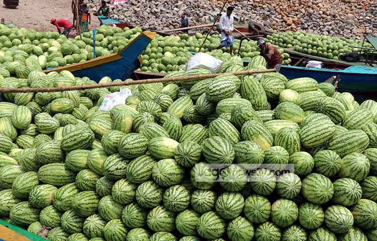 রাজধানীর সদরঘাটে ট্রলার থেকে তরমুজ ওঠানোর হচ্ছে। বাজারে প্রচুর তরমুজের সরবরাহ থাকলেও দাম আকাশ ছোঁয়া। ছবি : বিপ্লব দিক্ষিৎ