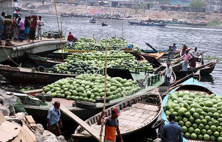 সদরঘাটে ভিড়ে আছে তরমুজ বোঝাই করা ট্রলার ও নৌকা। ছবি : বিপ্লব দিক্ষিৎ