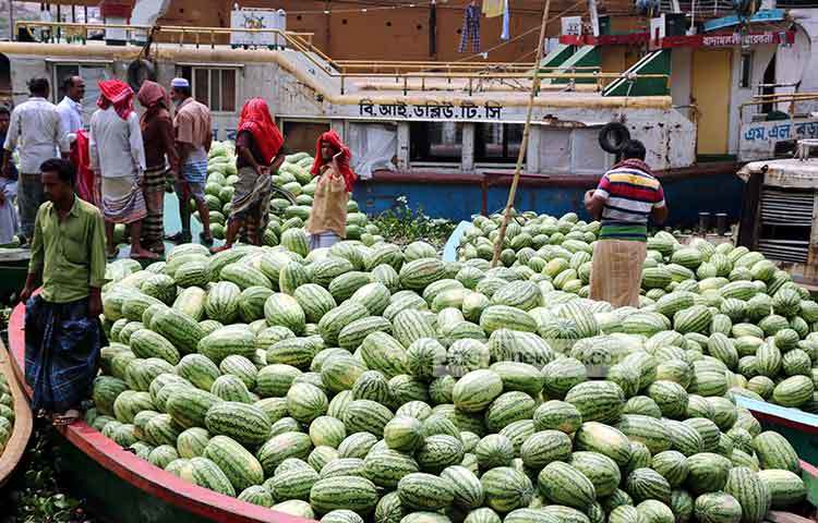 তরমুজ কূলে উঠাতে ব্যস্ত সদরঘাটের শ্রমিকরা। ছবি : বিপ্লব দিক্ষিৎ