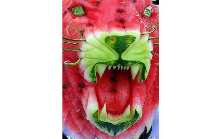 রয়েল বেঙ্গল টাইগার তরমুজ দিয়ে তৈরি করা হয়েছে।