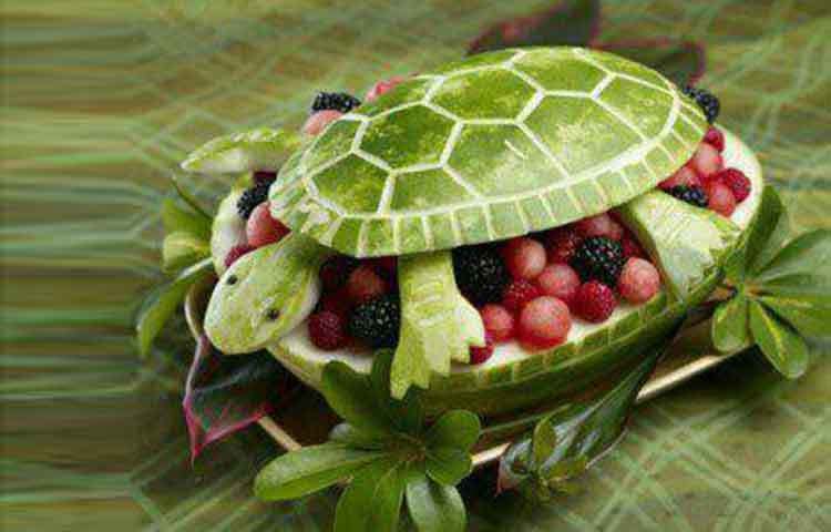 এ যেন অবিকল কচ্ছপ।