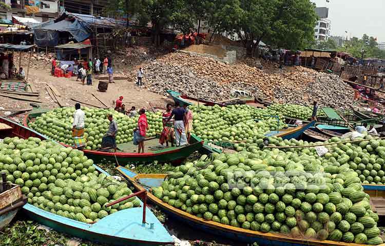 ট্রলার ভর্তি তরমুজ দেখল চোখ জুড়িয়ে যায়। ছবি : বিপ্লব দিক্ষিৎ