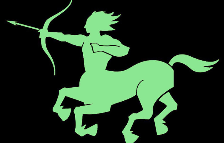 ধনু : এই রাশির পুরুষকে ডেট করে মজা পাবেন। এমনি মজাদার হলেও এদের কিছু নির্বুদ্ধিতা আছে। তবে এরা সৎ হন।