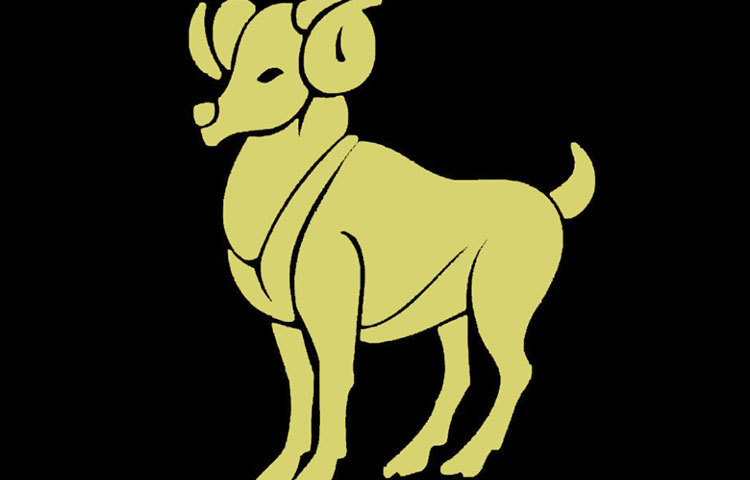 মেষ : এই পুরুষেরা বরাবরই তাদের উদ্দীপনা এবং উৎসাহের জন্য পরিচিত। মাথায় রাখবেন আপনি যদি কোনও এরিয়ান পুরুষের সঙ্গে সম্পর্কে আসেন তাহলে তাকে তার মতো করে নিজস্ব সময় কাটাতে দিন, বাঁধা দেবেন না।