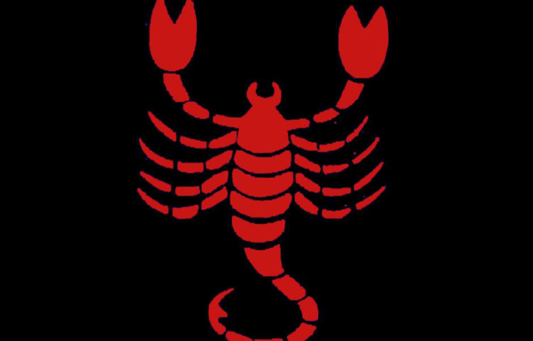 বৃশ্চিক : একজন স্করপিও পুরুষের আভ্যন্তরীণ শান্ত ভাব দেখে তার প্রতি মজে যাবেন না, কারণ ভিতরে তিনি ঠিক উল্টো একজন মানুষ। অর্থাৎ, আপনি ফাঁদে পড়তে বাধ্য।