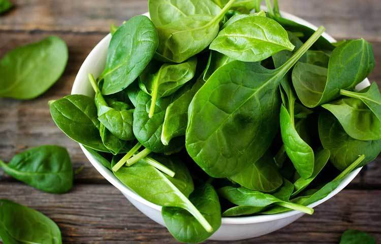 পালং শাক : প্রোটিন, ভিটামিন এ, সি, অ্যান্টিঅক্সিডেন্টে ভরপুর পালং শাক এখন অন্যতম ট্রেন্ডি উপাদান। ১০০ গ্রাম পালং-এ আছে ২.৭ মিলিগ্রাম আয়রন। বিশেষজ্ঞেরা জানাচ্ছেন, সালাদ হিসেবে বা কম তেলে রান্না করে নিয়মিত ডায়েটে রাখুন এই সবুজ সব্জি।