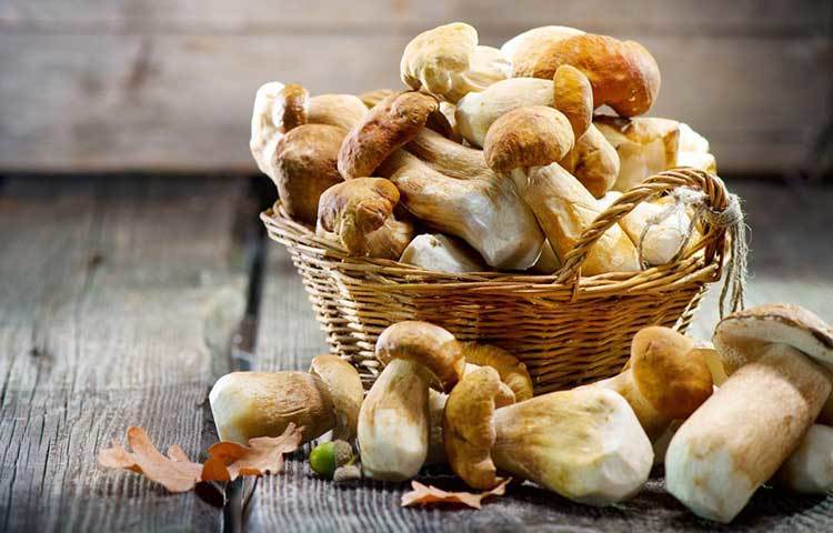 মাশরুম : ভিটামিন ডি এবং বি সমৃদ্ধ মাশরুমের গুণ অনেক। এতে ভরপুর আয়রন তো রয়েছেই, তা ছাড়া খাদ্য তালিকায় মাশরুম যোগ করলে হতাশা দূর করে ও মানসিক শান্তি বজায় রাখতে সাহায্য করে। কাঁচা এবং শুকনো- দু’ভাবেই মাশরুম উপাদেয়। তবে অতিরিক্ত রান্না না করে, পুষ্টিগুণের দিকে খেয়াল রেখে হালকা রান্নাই শ্রেয়।