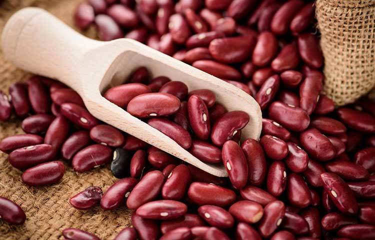 কিডনি বিনস : হৃদরোগ, ক্যানসার থেকে ডায়বিটিস-কিডনি বিনসের উপকারিতা অনেক। তা ছাড়া, কোলেস্টেরল নিয়ন্ত্রণে রাখতে চিকিৎসকেরা কিডনি বিনস খাওয়ার কথা বলেন। এক কাপ বিনসে থাকে প্রায় ৪ মিলিগ্রাম আয়রন, সুতরাং শরীরে আয়রনের ঘাটতি পূরণেও নিয়মিত ডায়েটে রাখতে পারেন কিডনি বিনস।