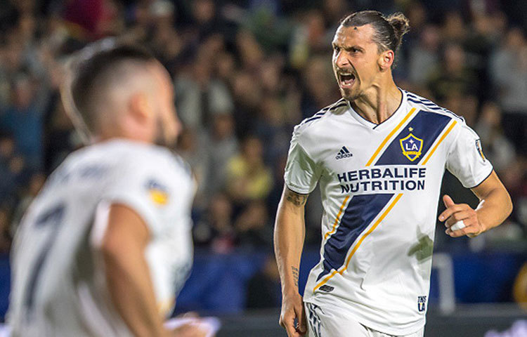 জলাটান ইব্রাহিমোভিচ : মনে করা হয়েছিল দেশের হয়ে বিশ্বকাপে কামব্যাক করবেন ইব্রা। সমর্থকদের মধ্যে সে আশা বাড়িয়ে দিয়েছিলেন খোদ ইব্রা। কিন্তু সুইডেনের কোচের বিশ্বকাপ পরিকল্পনায় ছিলেন না তিনি।