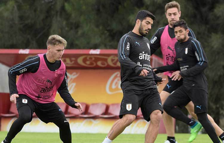 উরুগুয়ে : ২০১০ সালে দিয়েগো ফোরলান আশা জাগিয়েও পারেননি। সুয়ারেজের হঠকারি কাণ্ডকারখানা স্বপ্নভঙ্গ করেছিল দলের। সে বারের বিতর্কিত নায়ক কি এ বার শাপমুক্তি ঘটাতে পারবেন? অপেক্ষায় থাকবে দেশ। সঙ্গত দেওয়ার জন্য কাভানি, গডিনরা তো থাকছেনই।