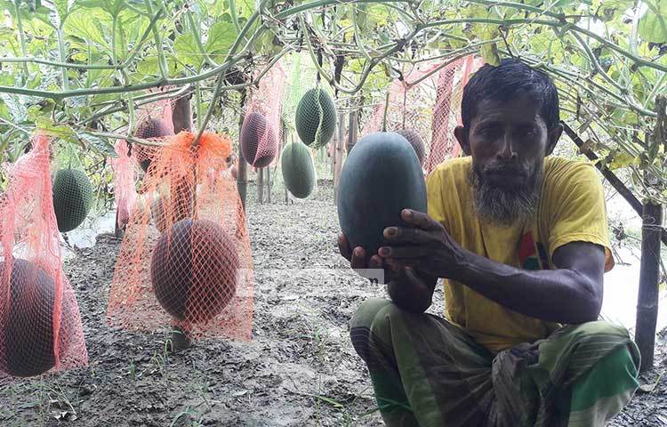 হাতে নিয়ে বারোমাসি বেবি তরমুজ দেখাচ্ছেন এক চাষি। ছবি : ছগির হোসেন