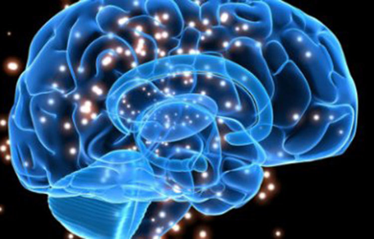 ওই গবেষকদলের সদস্য সুধা শেষাদ্রী বলেন, মধ্যবয়সের পরে স্মৃতিভ্রংশের ওপরে গবেষণা করতে গিয়ে দেখা যাচ্ছে যারা বেশি মানসিক উদ্বেগের মধ্যে থাকেন তার মধ্যে এই সমস্যা বেশি।