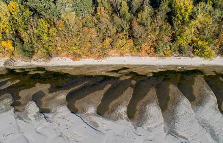 ইউরোপের অন্য নদীগুলির মতো দানিউবেরও বেশ কিছু জায়গা একেবারে শুকিয়ে গিয়েছে। মাত্র ১৫ ইঞ্চি পানির স্তর এই নদীতে।
