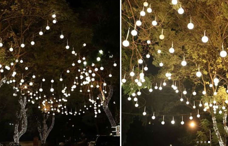 গাছে গাছে জ্বলছে বিজলী বাতি।