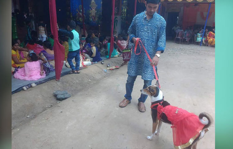 পুটুর ঠিকানা ভারতের শান্তিনিকেতন। পৃথ্বী হাজরার যত্নে কুকুটির বড় হয়ে ওঠা।