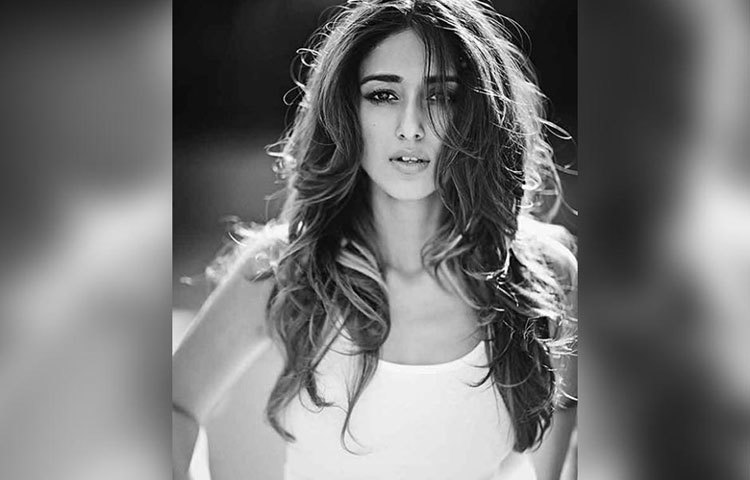 এলোমেলো ইলিয়েনা।