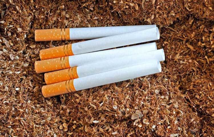 গবেষণায় দেখা যাচ্ছে ধূমপায়ীদের মধ্যে বাতের প্রবণতা বেশি। এতে জয়েন্ট, হাড় ও সংযোগকারী টিস্যুর ক্ষতি করে। ধূমপানের অভ্যাস থাকলে এখনই ছেড়ে দিন।