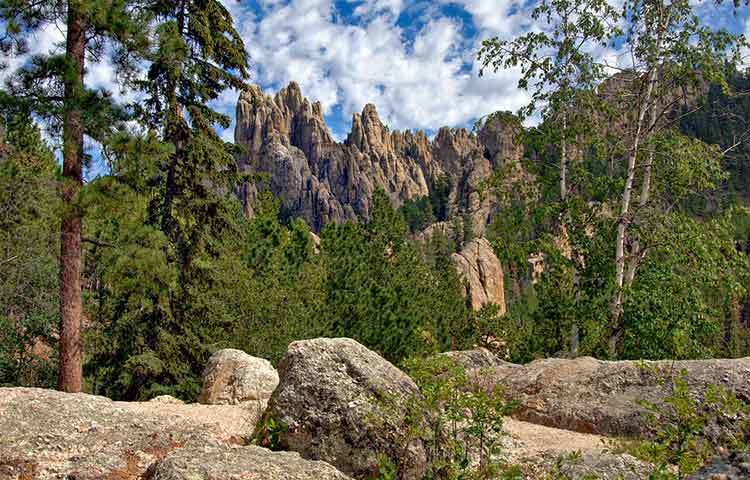 মার্কিন যুক্তরাষ্ট্রের দক্ষিণে ডাকোটায় প্রথম সোনার সন্ধান মেলে ১৮৮৬ সালে। সে সময় ডাকোটার ব্লাক হিলসে সোনার সন্ধানে মানুষের ঢল নেমছিল। এখনও মানুষজন সেখানে যান সোনার সন্ধানে।