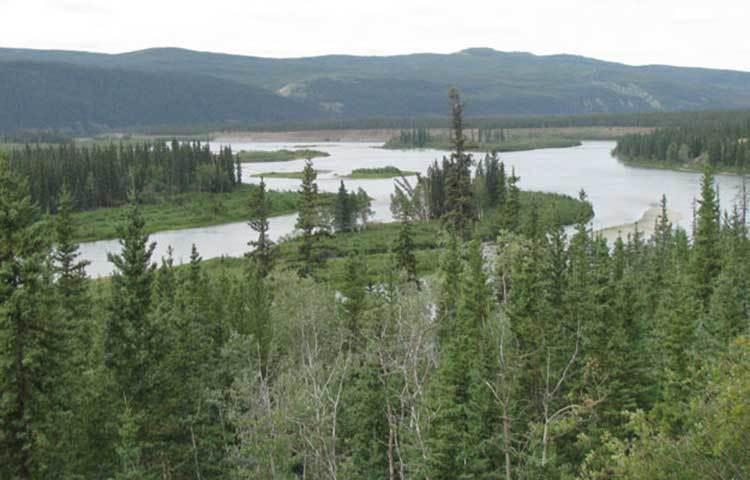 ১৮৯৬ সালে প্রথম প্রচার হয় কানাডার কলিন্ডিকে নদীর বোনানজা ক্রিকে পাওয়া যাচ্ছে সোনা। শুরু হয়ে যায় গোল্ড রাশ। সেই থেকেই চলছে সোনা খোঁজার কাজ। কানাডার এই প্রত্যন্ত এলাকায় এখন মানুষ যান সোনার খোঁজে।