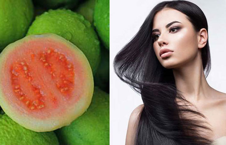 ত্বক ও চুলের পরিচর্যা করে : পেয়ারায় প্রচুর পরিমাণ জল আছে যা ত্বক আর চুল ভালো রাখতে আর সুন্দর করতে সাহায্য করে। রু²মতা দূর করে। তারুণ্য ধরে রাখে দীর্ঘদিন।