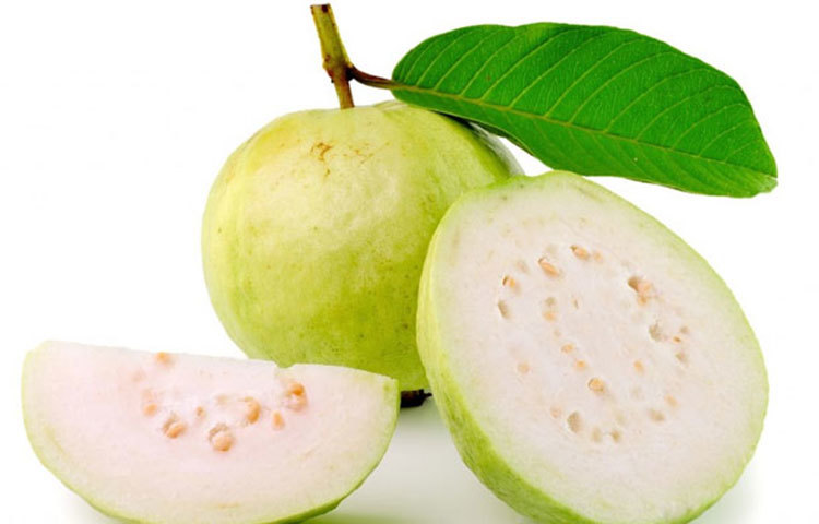 ডায়াবেটিস নিয়ন্ত্রণ করে : ডায়াবেটিস রোগের ক্ষেত্রে খুব কাজ দেয় পেয়ারা। পেয়ারার রসে থাকা উপাদান ডায়াবেটিস মেলিটাসের চিকিৎসায় খুবই কার্যকর। ডায়াবেটিস প্রতিরোধে পেয়ারা পাতাও বেশ কার্যকরী।