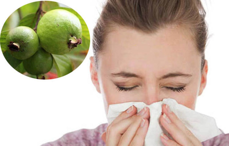 ঠান্ডা জনিত সমস্যা দূর করে : শ্বাস কষ্ট, ঠান্ডা লাগা, সর্দি কাশিতে প্রতিরোধ গড়ে তোলে পেয়ারা। বিভিন্ন ঠান্ডাজনিত সমস্যা যেমন ব্রংকাইটিসের প্রতিরোধ করে পেয়ারা। আয়রন এবং ভিটামিন সি থাকায় পেয়ারা শ্লেষ্মা কমিয়ে দেয়।