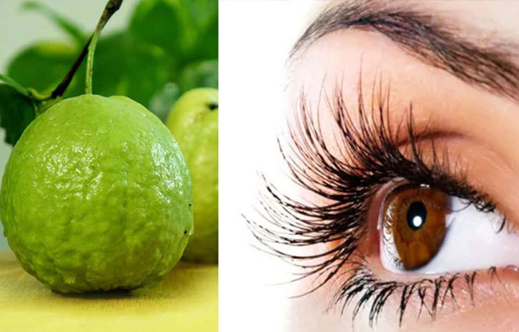 দৃষ্টিশক্তি বাড়ায় : ভিটামিন এ চোখের জন্য উপকারী। পেয়ারাতে থাকা ভিটামিন এ কর্নিয়াকে সুস্থ রাখে। প্রতিদিনের খাদ্য তালিকায় পেয়ারা রাখুন। পেয়ারায় থাকা প্রচুর পরিমাণ ভিটামিন এ চোখের জ্যোতি বাড়ায়। চোখ সুস্থ রাখে।