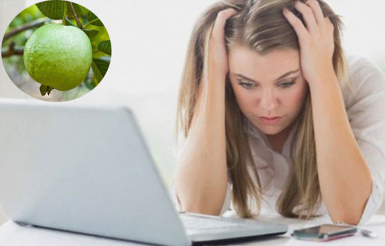 স্ট্রেস দূর করে : স্ট্রেস দূর করতে দারুণ ভালো কাজ দেয় পেয়ারা। পেশি আর স্নায়ুর কার্যকারিতা বৃদ্ধি করে। মানসিক চাপ কমায়, শক্তি বাড়ায়।