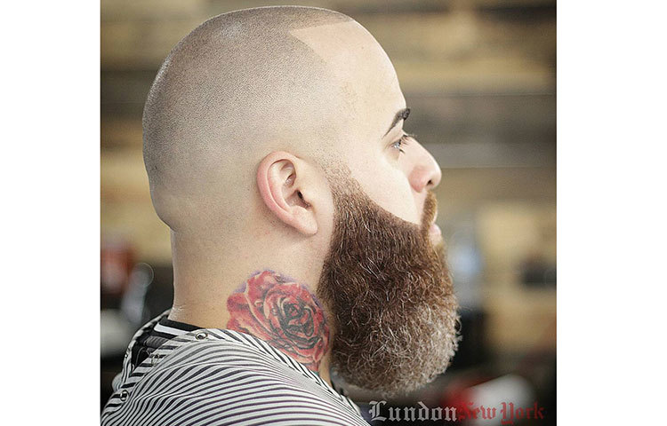 আল্ট্রা শর্ট বাড ফেড।