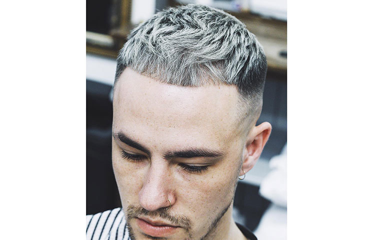 টেক্সারর্ড ক্রড হাই ফেড।