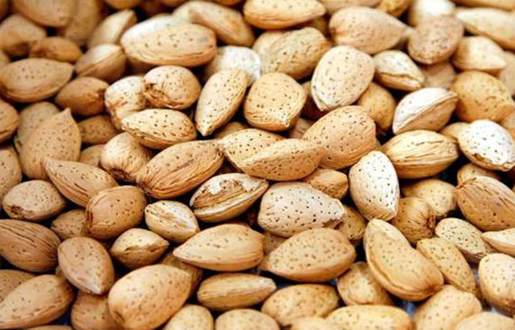 আলমন্ড : অত্যাধিক ওমেগা থ্রি ফ্যাটি অ্যাসিড থাকায় প্রতিদিন একটি-দুটি করে আলমন্ড খেতে পারেন। হার্ট সুস্থ থাকবে।