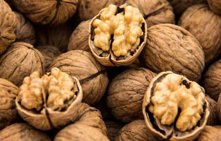 আখরোটে রয়েছে ওমেগা থ্রি, ভিটামিন-ই, ফাইবার এবং ফ্যাট। যা হার্টের ভীষণ জরুরি।