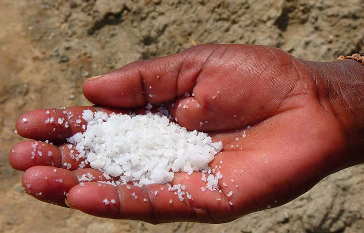 ‘নিউ ইংল্যান্ড জার্নাল অব মেডিসিন’-এ বেরনো সমীক্ষা অনুযায়ী, প্রতিদিন গড়ে যে পরিমাণ লবণ খান, তা থেকে অর্ধেক চামচ নুন কমিয়ে দেখুন! হার্টের অনেক অসুখ থেকে নিষ্কৃতি মিলবে।