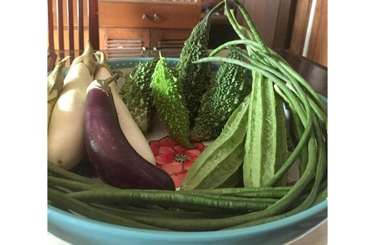 বাগান থেকে করলা, বেগুন, বরবটি তোলা হয়েছে।