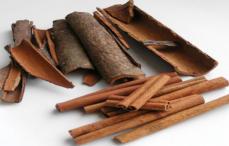 দারুচিনি : ওজন কমাতে দারুচিনি বিশেষ ভূমিকা রাখতে পারে। নিয়মিত দারুচিনি খেলে খিদে কমে যায়। শুধু তাই নয়, দারুচিনি শরীরের জমে থাকা মেদ গলাতে সাহায্য করে। এটি শরীরের সুগার লেভেল নিয়ন্ত্রণে সাহায্য করে, তাই ডায়াবেটিসের রোগীদের জন্য এটি খুবই উপকারী। এছাড়াও পেটের রোগ, ইনফ্লুয়েঞ্জা, টায়ফয়েড, টিবি ও ক্যান্সার প্রতিরোধে দারুচিনি খুবই কার্যকরী।