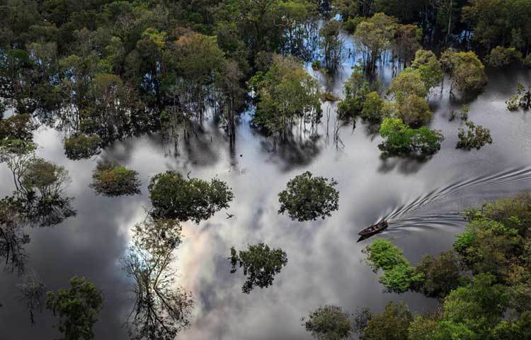 অ্যানাভিলহানাস ন্যাশনাল পার্ক, অ্যামাজন নদীর নিকটবর্তী এলাকা। এই জায়গাটি ব্রাজিলে গেলে দেখা যাবে।
