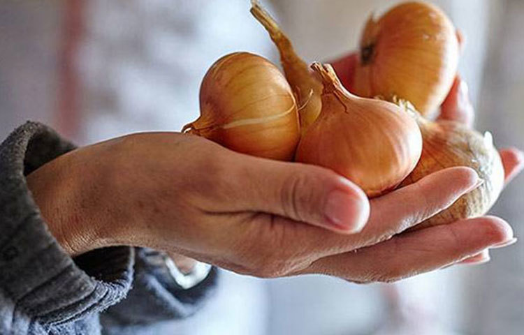 অলিভ অয়েলের সঙ্গে দুই বা তিন টেবিল চামচ পেঁয়াজের রস মিশিয়ে রেখে দিতে পারেন। সপ্তাহে তিনদিন ব্যবহার করুন। ঘণ্টাখানেক রাখার পর মাইল্ড শ্যাম্পু দিয়ে চুল ধুয়ে ফেলুন। ফল পাবেন হাতে-নাতে।