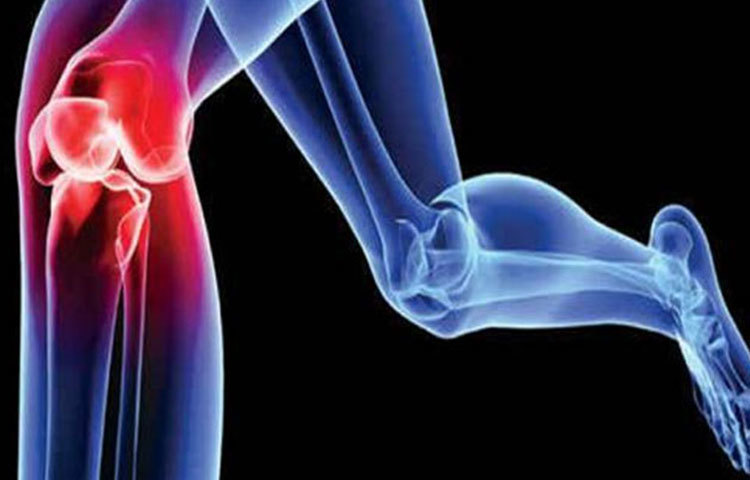 হাড় ভালো রাখে : হাড়ের কঠিন অসুখ অ্যাথেরসক্লেরোসিস এবং অস্টিওপোরোসিসের মতো রোগের সঙ্গে লড়াই করতে পেঁজায় অত্যন্ত উপকারি।