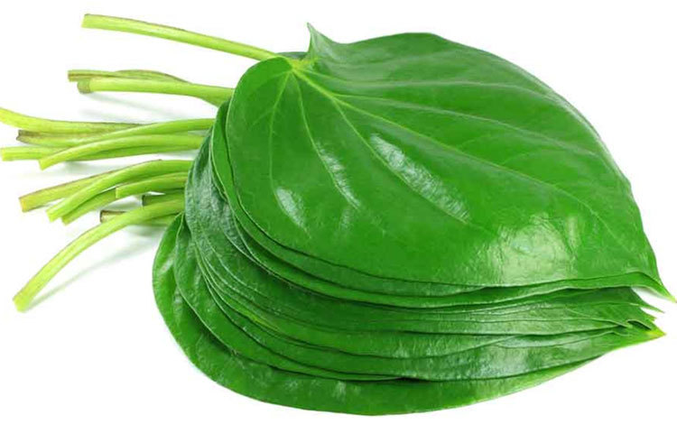 পান পাতায় প্রচুর পরিমাণে ভিটামিন সি থাকে যা শরীর থেকে ‘ফ্রি র‌্যাডিকেল’ বের করে দেয়।