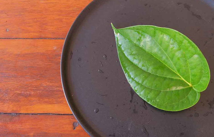 ভালো ফল পাওয়ার জন্য, খাবার খাওয়ার অন্তত ৩০ মিনিট পরে পান খাওয়া উচিত।