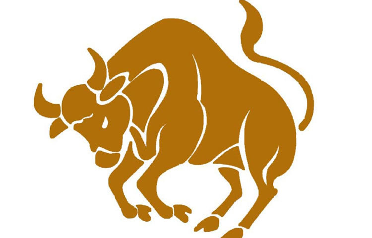 বৃষ : বছরটা খুব ভালো কাটবে। আপনি ও আপনার প্রিয়জনদের জন্য দারুণ সব খবর বয়ে আনবে এই নতুন বছর। চাকরিতে পদোন্নতি হওয়ার প্রবল সম্ভাবনা। ছাত্রদের বাইরে পড়তে যাওয়ার সুযোগ মিলবে। সব মিলিয়ে বছরটা হবে খুবই উপভোগ্য।