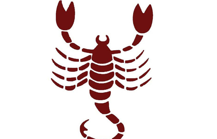 বৃশ্চিক : নানা সুবিধা ও অসুবিধার মধ্যে দিয়ে কাটবে নতুন বছর। ক্যারিয়ারের জন্য শুভ যাবে বছরটা। স্বাস্থ্যের ক্ষেত্রেও খবর ভাল। ঠিকমতো শরীরচর্চা ও খাওয়া দাওয়া করলে শরীর ভালো থাকবে। তবে কাজের চাপে শারীরিক ক্লান্তি থাকবে। প্রেমের মানুষ ও পরিবারের বড়দের সঙ্গে সম্পর্কের ক্ষেত্রে সমস্যা হতে পারে।