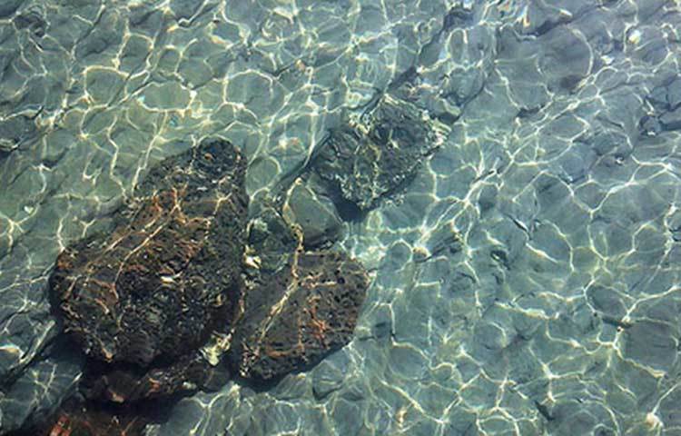 জানা যায়, পর্যটকদের কারণে বিপন্ন হতে চলা সেন্টমার্টিন দ্বীপটিকে রক্ষা করতে সেখানে রাতযাপন নিষিদ্ধ করা হয়েছে।